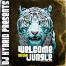 DJ Hybrid - Downbeat (Original Mix)