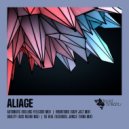 aliage - So Real (Oldskool Jungle Tekno Mix)