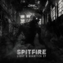 Spitfire - Smile At The Pain (Original Mix)