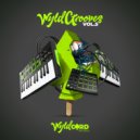 Disco Ball\'z, Depth Phunk - Hands Up High (Original Mix)