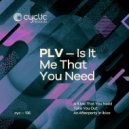 plv - Take You Out (Original Mix)