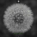 Koichi Sugimoto - Variable Adaptation (Original Mix)