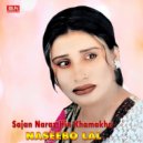 Naseebo Lal - Rutthe Yaar Sade