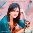 Naseebo Lal - Dil Lagaya Tha Dilagi Ka Liya