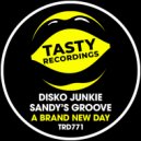 Disko Junkie & Sandy\'s Groove - A Brand New Day (Radio Mix)