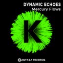 Dynamic Echoes - Mercury Flows (Original Mix)