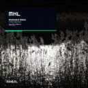Mariano Ribas - Synchrony