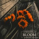 Sadbois & UNDY - Bloom (Acoustic)