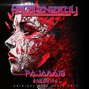 Pajaaa18 - Breaking