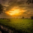 Osc Project - Afternoon and Night