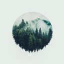 fouins - Dreams ()