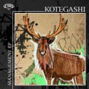 Kotegashi - Micro Management (Original Mix)