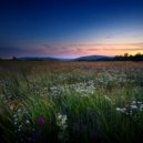 Binaural Lazers & Fire Place Sounds & Crickets from Brazil - The Sun\'S Embrace ()