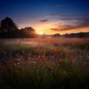 Dreamy Music Moments & Fire Sounds Sleep & Calm Sleep Music - Sleep’S Serene Lullaby ()