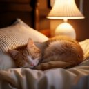 Calm and Gentle Music & Cat Music Vibes & Peaceful Cat Sessions - The Gentle Sound Of Purring ()