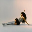 Gavin Turek - Disco Boots (Robosonic Remix)