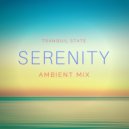 Tranquil State - Serenity (Ambient Mix)