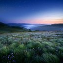 Soothing ASMR & Flamespad Nature Fire Sounds & Owl Sounds Recordings - In The Heart Of Darkness ()