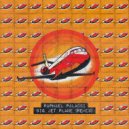 Raphael Palacci - Big Jet Plane (Remix)