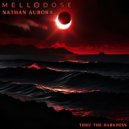 Mellodose & Nathan Aurora - Thru the Darkness