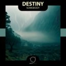 Destiny - Beautiful ()