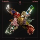 Solvane & Prismode - Eyes (Frieder & Jakob Remix)