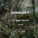 Dj Roma Record - Jungles 7 (Spring)