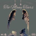 Ecilam & Vizion100 - Too Many Tears ()