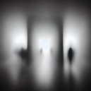 damirat - Evacuon ()