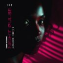 Fly - Night Pulse (Alexander Eighth\'s Remix)