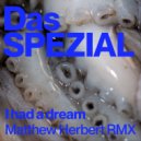 Das SPEZIAL, Matthew Herbert, Taya Michington - What Does it All Mean (Matthew Herbert Remix)