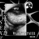 Walentin Pauer - Sexted (Timo Maas, Francesco Mami & King Brain Remix)