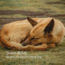Lofiwaala & Dream Dogs & Dog Calming Music All-stars - Instrumental Hip Hop ()