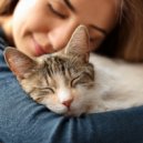 Música Calmante para Felinos & Ruido Radio 1 & Supertormenta - Movimiento Sereno Para Gatos