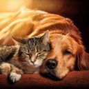Pet Balance & Cricket Sounds & Calm Music for Pets - Harmonious Sounds of Joy ()
