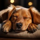 Jukebox de música para perros & Sonidos del clima & Pájaros Escandinavos - Melodías Tranquilas Para Perros ()