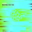 Nitesonik - Waiting For You (Extended Mix)
