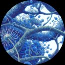 Alejandro Mosso - Pentose (Original Mix)