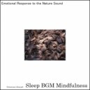 Sleep BGM Mindfulness - Mental Bliss in Whispered Lullabies