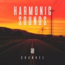 Shankel - Harmonic Sounds 101 ()