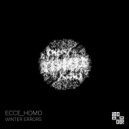 ecce_homo - winter errors ()