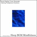 Sleep BGM Mindfulness - Soothing Moments in a Journey of Deep Relaxation for Rest (Original Mix)