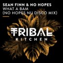 Sean Finn & No Hopes - What A Bam