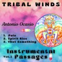 Antonio Ocasio - Pula (Instrumental Mix)