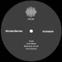 Nicolas Barnes - What Ever You Do (Original Mix)