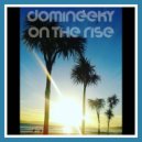 Domineeky - Nu Summer Funk (Domineeky Dub)
