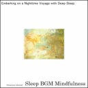 Sleep BGM Mindfulness - Euphoria Eased by Sound Healing for Mental Balance (Original Mix)