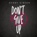 Danny Gibson - Don\'t Give Up (Original Mix)