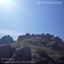 Qi Gong Journey - Dobrogea, Transcendental Meditation (Original Mix)
