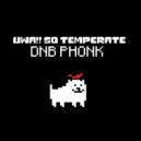 i3lueberry & MachiChunky - Uwa!! So Temperate DNB PHONK (Original Mix)